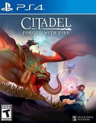 Citadel: Forged with Fire - Playstation 4